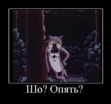 ШО.jpg