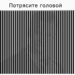 голова.jpg