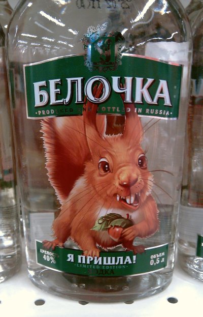 belka00.jpg