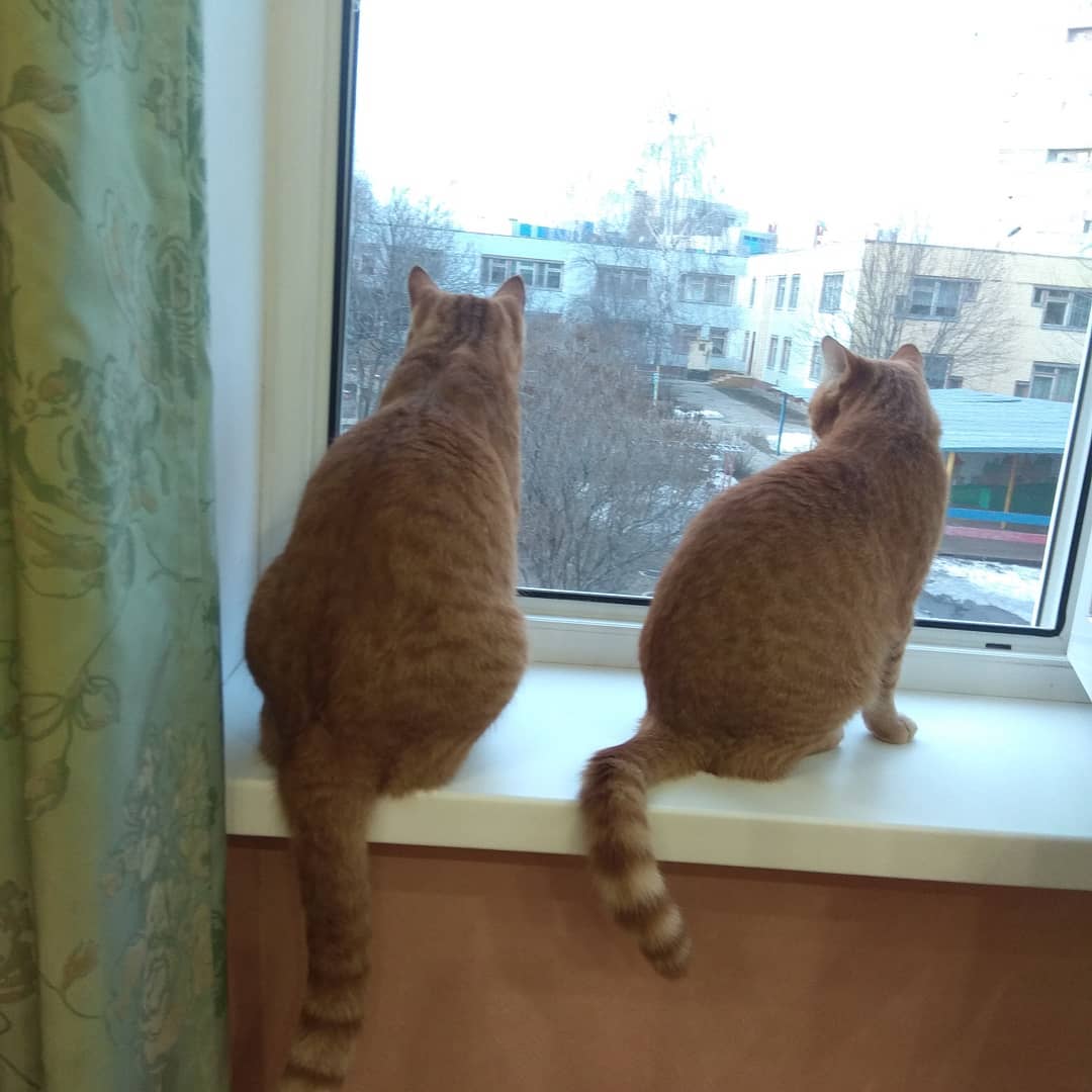 ske0Wz2m6YM.jpg
