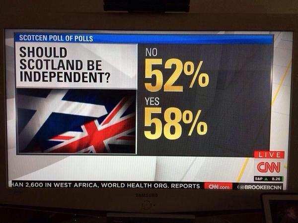 referendum_shotlandii_110.jpg