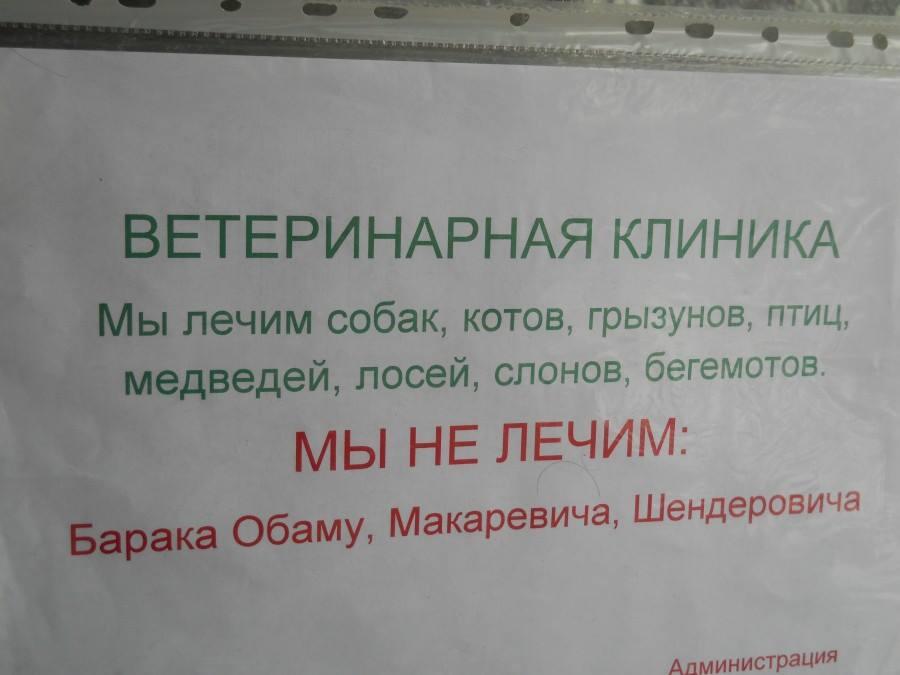 BjdmL8XCMAAdlKn.jpg:large